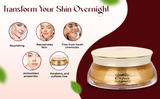 Olifair Night Cream 25gm Mini pack